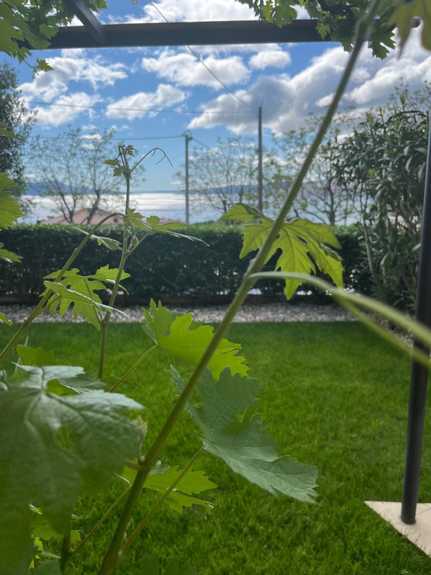 Apartman Mia Senj  Exterior foto